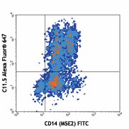 Alexa Fluor® 647 anti-human IL-12/IL-23 p40 Antibody (501818)
