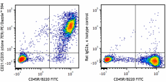 PE/Dazzle™ 594 anti-mouse CD21/CD35 (CR2/CR1) Antibody (123439)