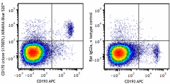 KIRAVIA Blue 520™ anti-mouse CD170 (Siglec-F) Antibody (155521)