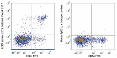Brilliant Violet 711™ anti-mouse/rat XCR1 Antibody (148245)