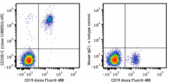 APC anti-human CD32B/C Antibody (398303)
