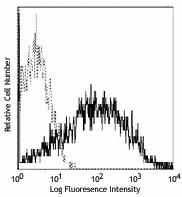 PE anti-mouse CD86 Antibody (105007)
