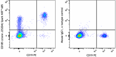 Spark NIR™ 685 anti-human CD185 (CXCR5) Antibody (356947)