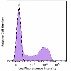 GMP PE anti-human CD45RO Antibody (260324)