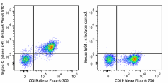 Brilliant Violet 510™ anti-mouse Siglec-G Antibody (163323)