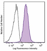 PE/Dazzle™ 594 anti-human CD269 (BCMA) Antibody (357511)