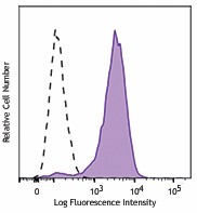 Brilliant Violet 711™ anti-human CD206 (MMR) Antibody (321135)