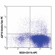Biotin anti-mouse CD135 Antibody (135307)