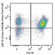 Alexa Fluor® 647 anti-ZAP-70 Antibody (693507)