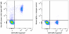 Spark NIR™ 685 anti-human HLA-DR Antibody (307693)