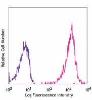 APC anti-mouse ESAM Antibody (136207)