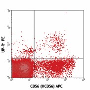 PE anti-human CD158f (KIR2DL5) Antibody (341303)
