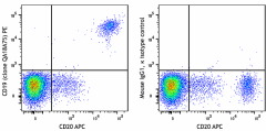 PE anti-human CD19 Recombinant Antibody (309505)