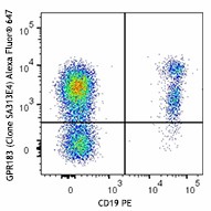 Alexa Fluor® 647 anti-human GPR183 (EBI2) Antibody (368904)
