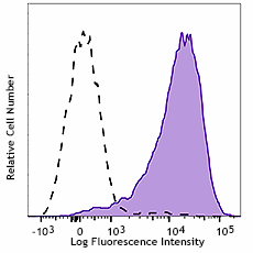 Purified anti-mouse β2-microglobulin Antibody (154502)