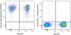Purified anti-human HLA-A2 Recombinant Antibody (386702)