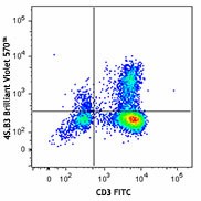 Brilliant Violet 570™ anti-human IFN-γ Antibody (502533)