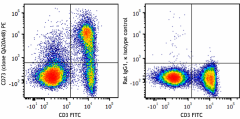 PE anti-mouse CD73 Recombinant Antibody (101703)