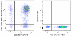 Spark PLUS V450™ anti-human CD62L Antibody (384827)