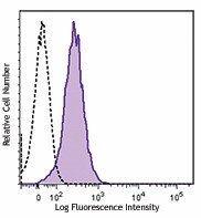 APC/Cyanine7 anti-mouse IL-17A Antibody (506939)