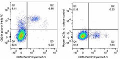 PE anti-human CD244 (2B4) Antibody (393507)