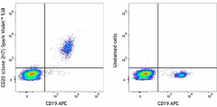 Spark Violet™ 538 anti-human CD20 Antibody (302373)