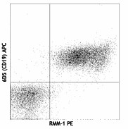 PE anti-mouse IgM Antibody (406507)