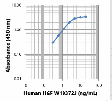 Purified anti-human HGF Antibody