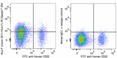 PE/Dazzle™ 594 anti-human HLA-F Antibody (373205)