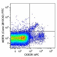 FITC anti-mouse MERTK (Mer) Antibody (151503)