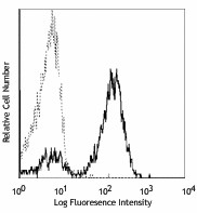 Purified anti-human CD2 Antibody (300202)