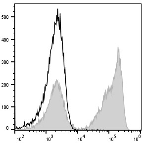 PE Anti-Mouse CD3 Antibody[17A2] (E-AB-F1013D)