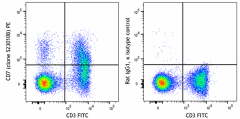 PE anti-mouse CD7 Antibody (167103)