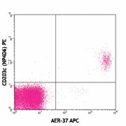 APC anti-human FcεRIα Antibody (334612)