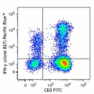 Pacific Blue™ anti-human IFN-γ Antibody (506525)