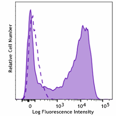 FITC anti-mouse CD13 Recombinant Antibody (111005)