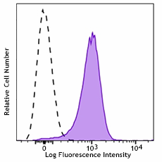 Brilliant Violet 785™ anti-mouse CD31 Antibody (102435)
