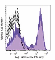 PE anti-rat Ig light chain κ Antibody (407805)