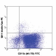 Biotin anti-mouse CD123 Antibody (106003)