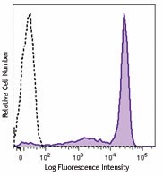 PE anti-mouse Ly-6G/Ly-6C (Gr-1) Antibody (108407)