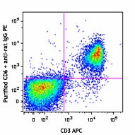 Purified anti-mouse CD6 Antibody (146401)