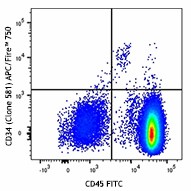 APC/Fire™ 750 anti-human CD34 Antibody (343535)