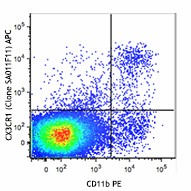 APC anti-mouse CX3CR1 Antibody (149007)