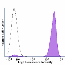 PE/Cyanine7 anti-human CD48 Antibody (336717)