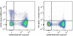 APC anti-mouse CD183 (CXCR3) Antibody (155905)