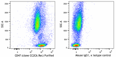 Purified anti-human CD47 Recombinant Antibody (323130)