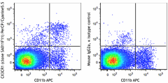 PerCP/Cyanine5.5 anti-mouse CX3CR1 Antibody (149009)
