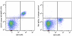 FITC anti-human CD157 (BST-1) Antibody (382103)