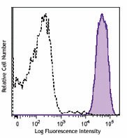 PE/Cyanine7 anti-mouse H-2Kd Antibody (116621)