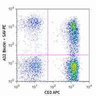 Biotin anti-human CD73 (Ecto-5'-nucleotidase) Antibody (344017)